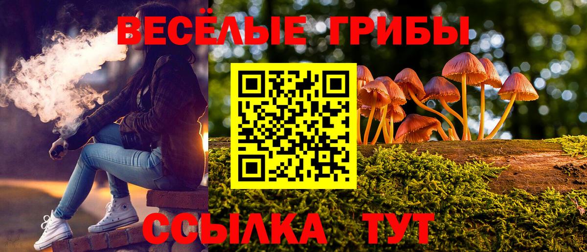 Галлюциногенные грибы MAGIC MUSHROOMS Новошахтинск
