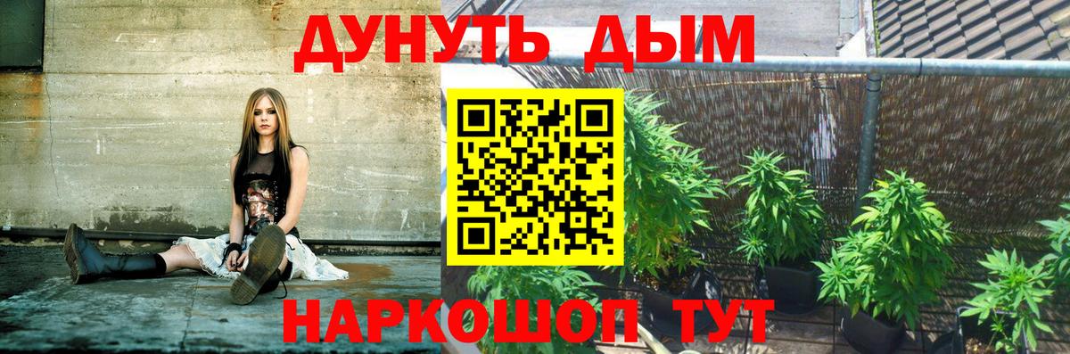Бошки Шишки AK-47  Бошки Шишки гибрид  Шишки марихуана AK-47  Вход с VPN  Новошахтинск 